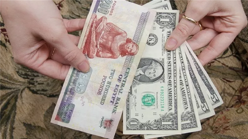 توقعات جديدة بشأن تعويم الجنيه المصرى