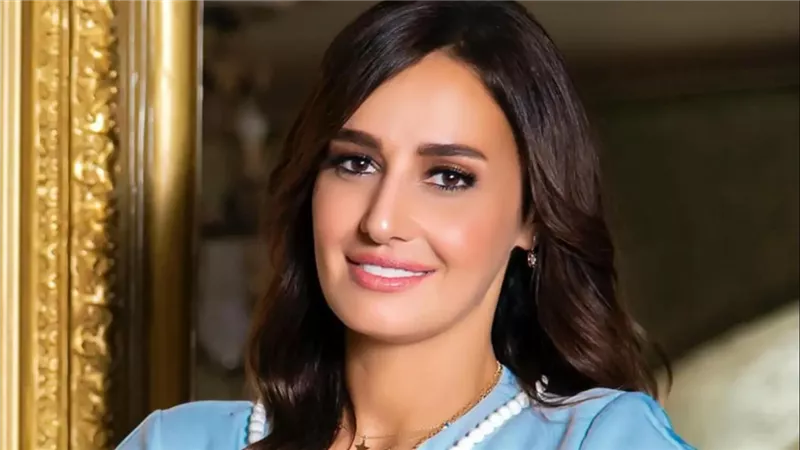 حلا شيحة ترد على تصريحات أشرف ذكي بشأن عودتها للتمثيل