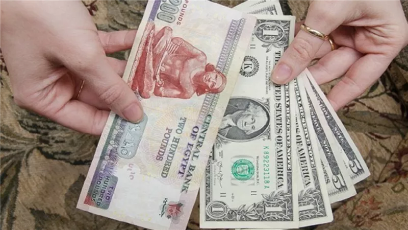 تعويم الجنيه مفاجأة سارة بشأن العملة المصرية مقابل الدولار