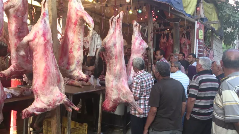 80 جنيه زيادة جديدة فى أسعار اللحوم في محلات الجزارة