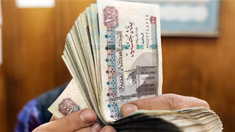 صرف ٨٥٠٠ جنيه لكل مواطن التضامن تكشف الحقيقة