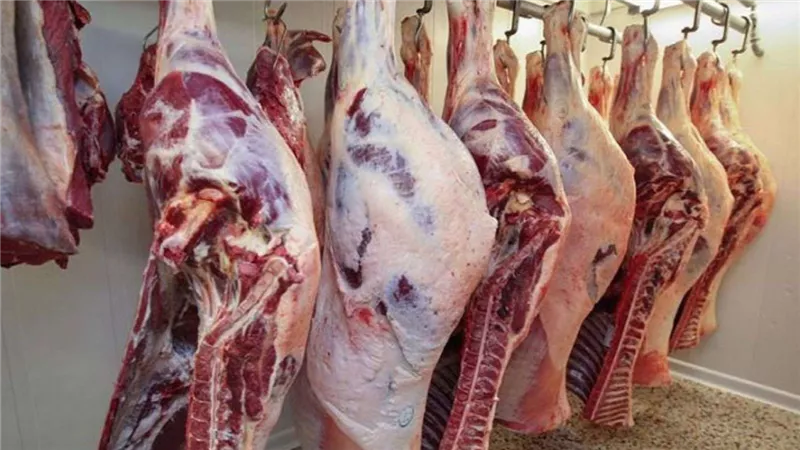 بشرى سارة للمواطنين عن أسعار اللحوم في عيد الأضحى