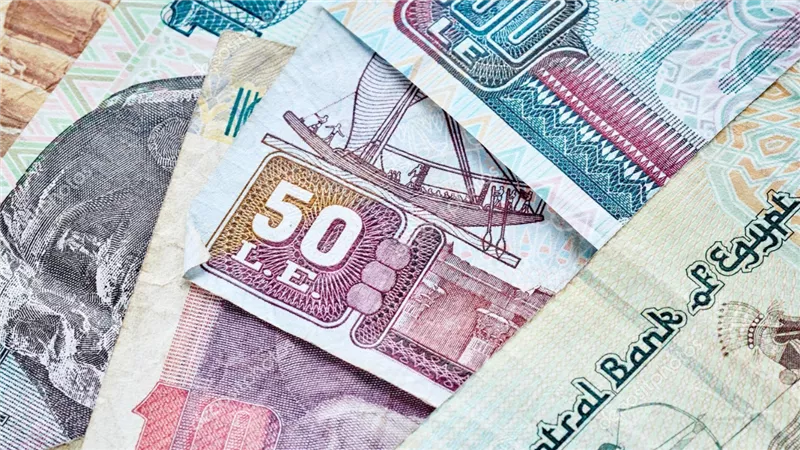 625 جنيها تصرف تفاصيل دعم نقدي من وزارة التضامن الاجتماعي