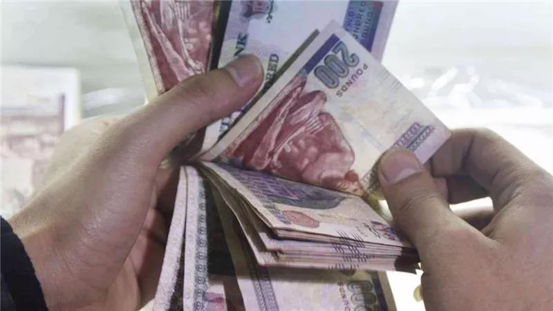 هقبض 11 ألف جنيه فرص عمل ذهبية للشباب لا تشترط الخبرة
