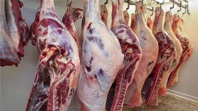الكيلو بـ 130 جنيها بس بشري للمواطنين عن أسعار اللحوم قبل عيد الأضحي