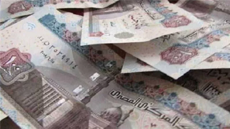 لو معندكش دخل شهري تعرف على أفضل طرق الاستثمار المنزلي