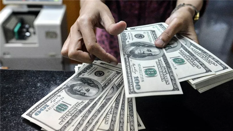 ضربة للدولار والكشف عن مصير الشهادات بعد قرر المركزي تثبيت سعر الفائدة