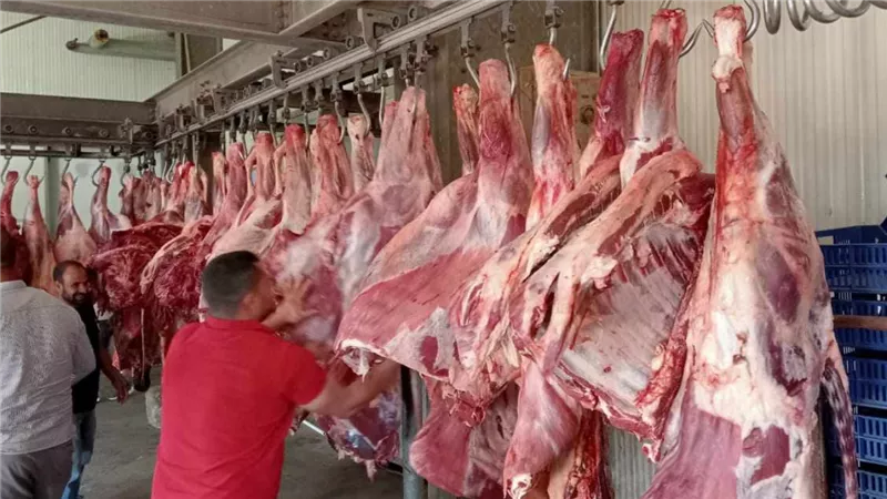 40 فى المية خصم على كيلو اللحمة بهذه الأماكن فقط