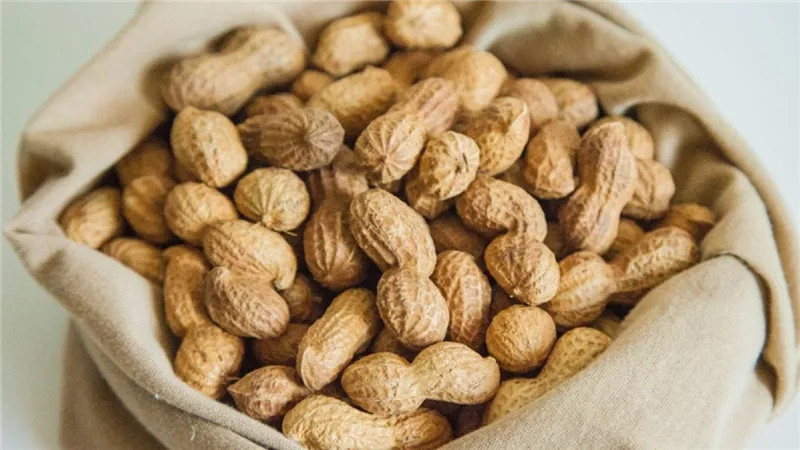 أهم الفوائد الصحية التي يحملها الفول السوداني للجسم