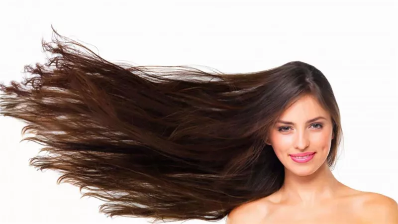 فوائد السدر للشعر تعرفي عليها الآن