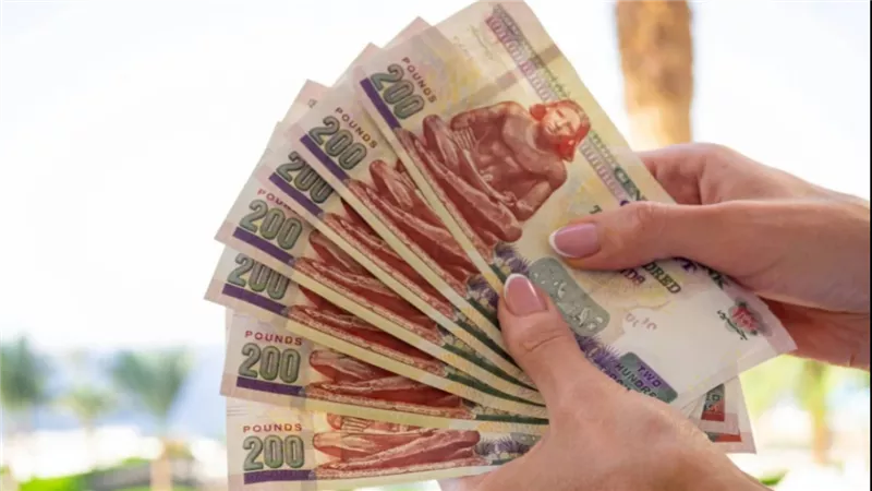 بفائدة 20 بالمئة تفاصيل أعلى عائد لـ حسابات توفير بعد عودة البنوك للعمل