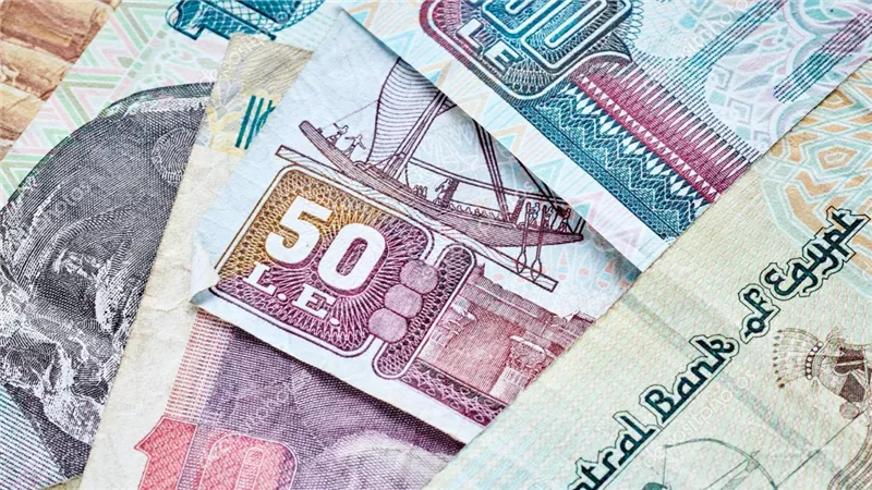 بشرى لكل المصريين تعرف على طريقة الحصول على مساعدات نقدية شهرية من بنك ناصر