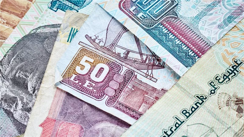 تصل إلى نصف مليون جنيه تفاصيل قرض سداد المصروفات الدراسية
