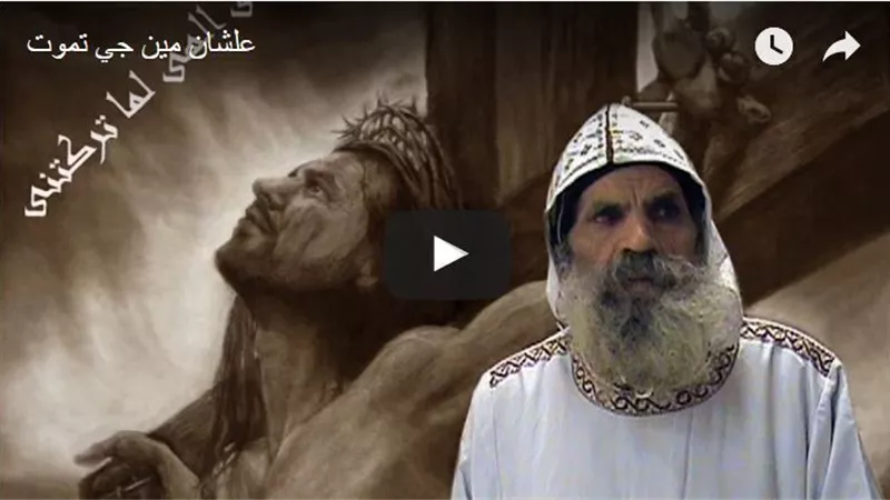 بالفيديو.. علشان مين جي تموت
