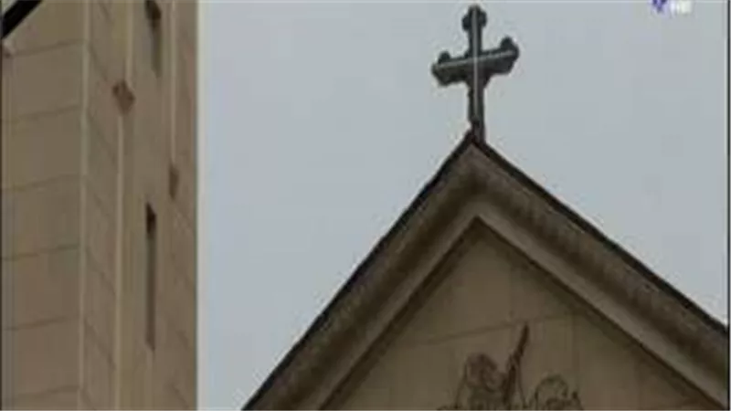 بالفيديو.. لحظة دخول الانتحارى كنيسة الاسكندرية وتصدى الامن له ووقوع الحادث