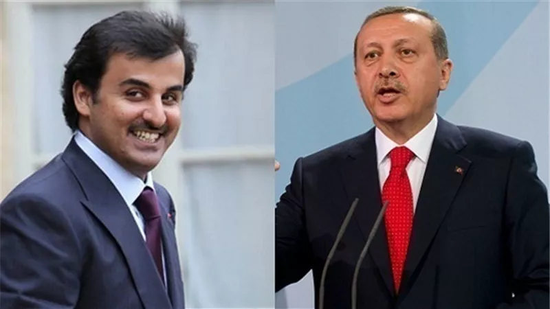 الحقد التركى | أردوغان يستعين بـ إخوان قطر وتركيا في حملته ضد اتفاقية الحدود البحرية بين مصر واليونان