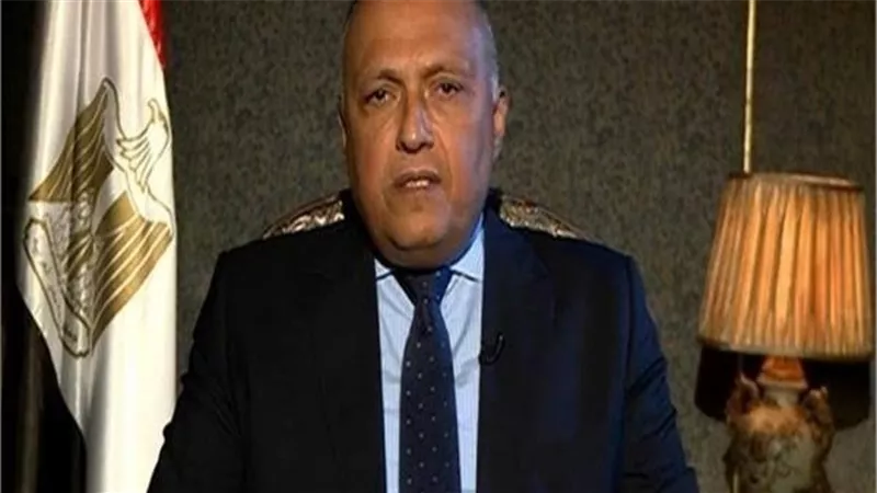 وزير الخارجية يكشف عن الدولة التى يولى لها الرئيس السيسى اهتماما كبيرا ويحرص على مصالح شعبه