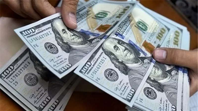 تعرف ما حدث فى أسعار الدولار اليوم الإثنين 20/ 5/ 2019