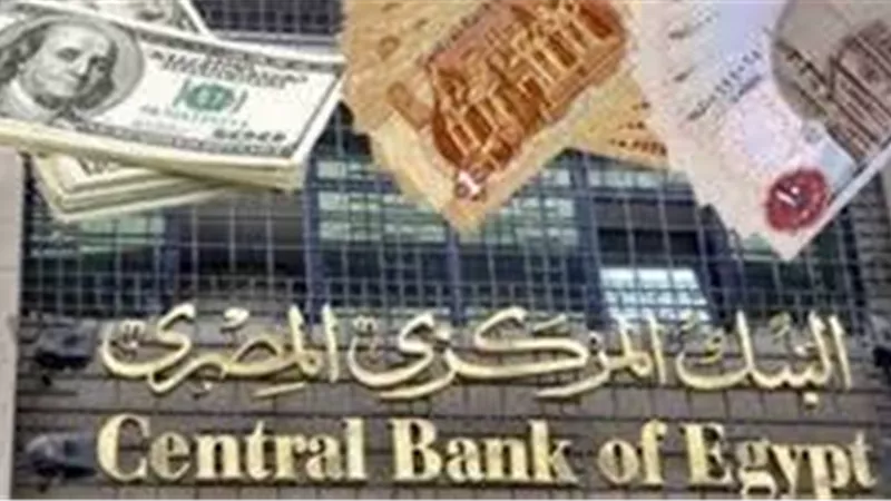خبير اقتصادى يفجر ما سيفعلة البنك المركزى غدا الخميس فى اسعار الفائدة
