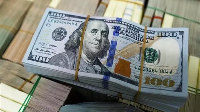 الحكومة تكشف حقيقة خسارة مصر 10 ملياردولار سنويا من اموال الضرائب