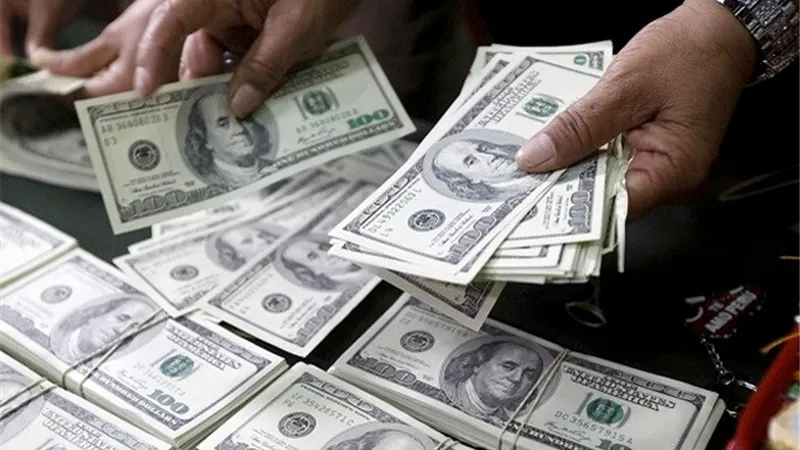 تعرف ما حدث فى سعر الدولار فى البنوك المصرية صباح اليوم الاربعاء 29-5-2019