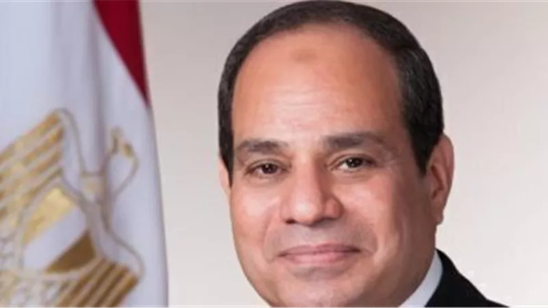 المصريون بأمريكا يحيون ويدعمون السيسى