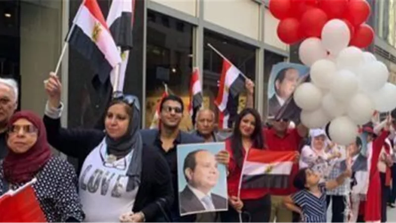 المصريون بأمريكا يحيون ويدعمون السيسى